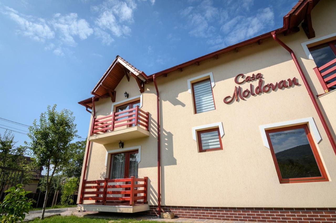 Casa Moldovan Sovata Dış mekan fotoğraf